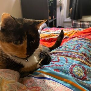 Meet your Posher, Audrey